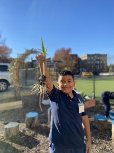 Students love harvesting produce from the FoodPrints gardens. FoodPrints 2023-24 School Year