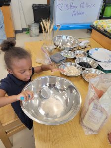 Students love exploring whole grains in FoodPrints. FoodPrints 2023-24 School Year