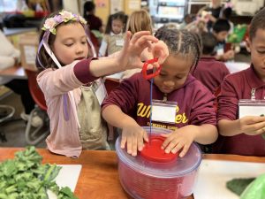 Students love using the salad spinner in FoodPrints! FoodPrints 2023-24 School Year