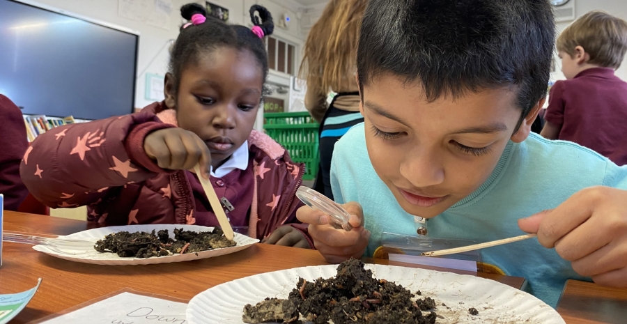 Worm Exploring in the classroom