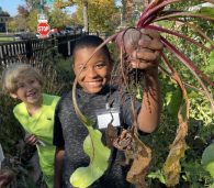 FoodPrints students harvesting beets FoodPrints 2023-24 School Year